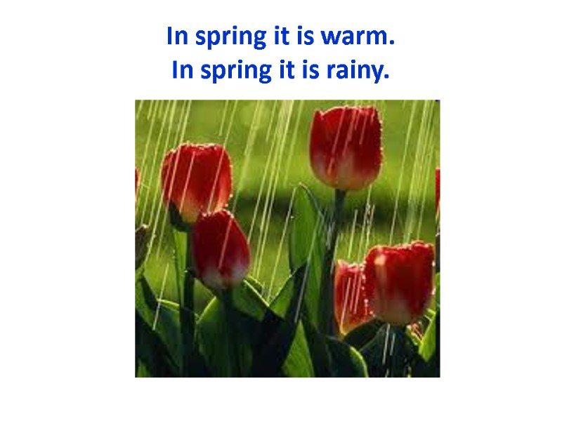 In spring it is warm. In spring it is rainy.